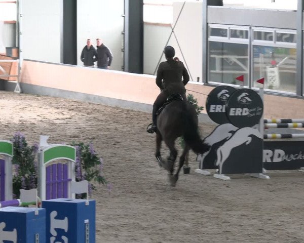 Reitturnier Borken 2024