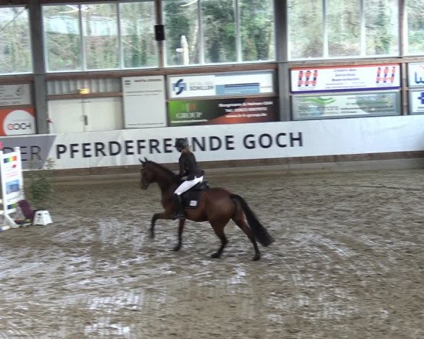 Reitturnier Goch 2024