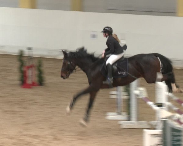 Reitturnier Stadl-Paura 2024