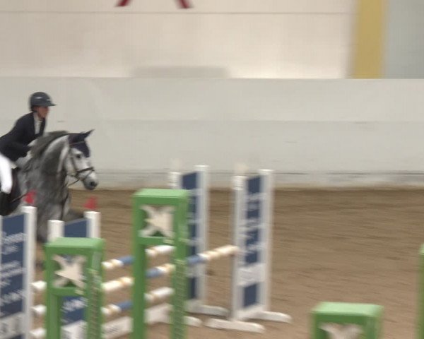 Reitturnier Stadl-Paura 2024