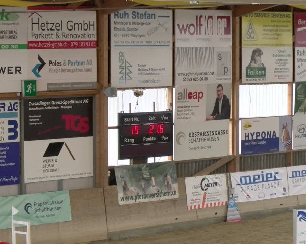 Reitturnier Schaffhausen 2024