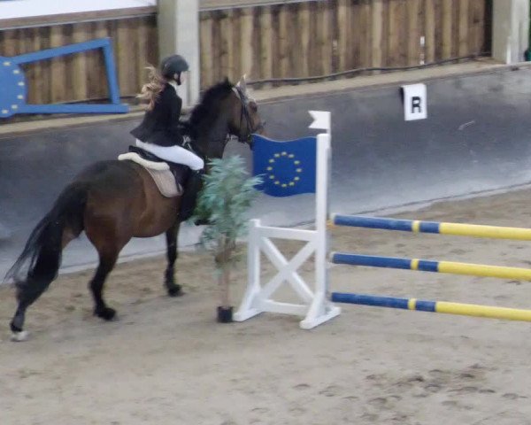 Reitturnier Weil der Stadt 2024