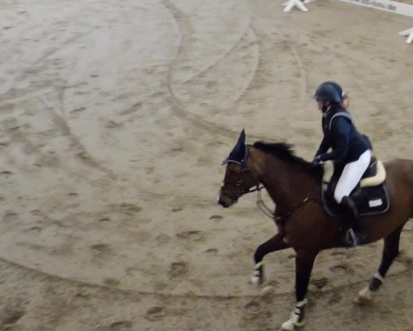 Reitturnier Weil der Stadt 2024