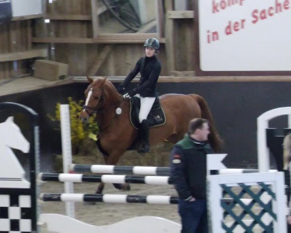 Reitturnier Weil der Stadt 2024