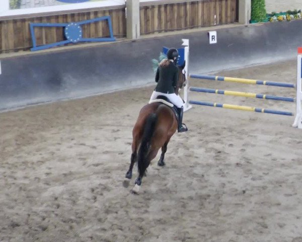 Reitturnier Weil der Stadt 2024
