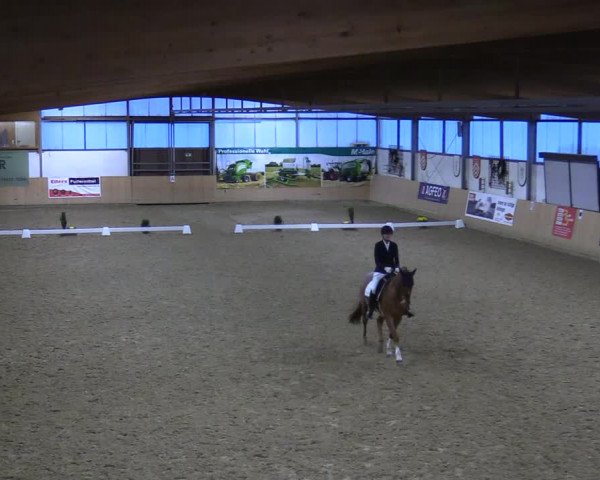 Dressurturnier Borgholzhausen-Westbarthausen 2021