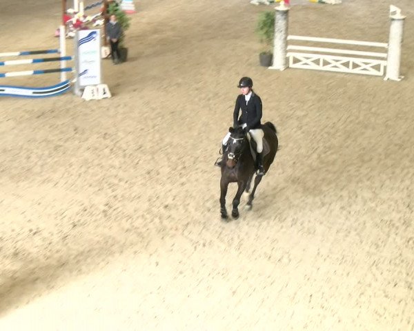 Reitturnier Schaffhausen 2024