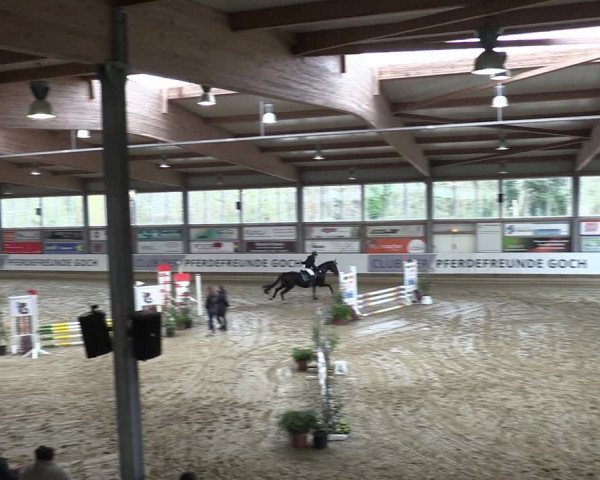 Reitturnier Goch 2024