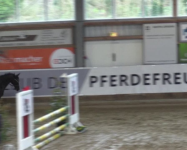 Reitturnier Goch 2024