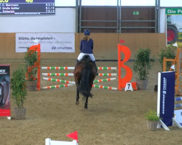 Reitturnier Borgholzhausen-Westbarthausen 2024