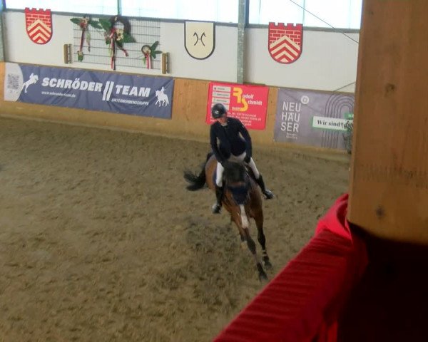 Reitturnier Borgholzhausen-Westbarthausen 2024