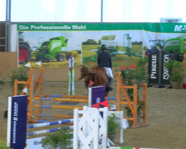 Reitturnier Borgholzhausen-Westbarthausen 2024