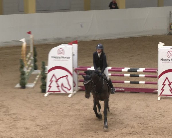 Reitturnier Stadl-Paura 2024