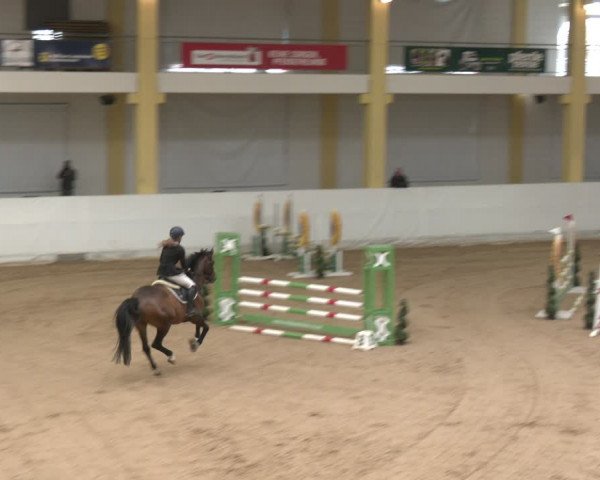 Reitturnier Stadl-Paura 2024