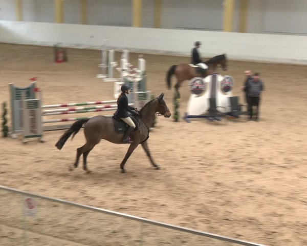 Reitturnier Stadl-Paura 2024