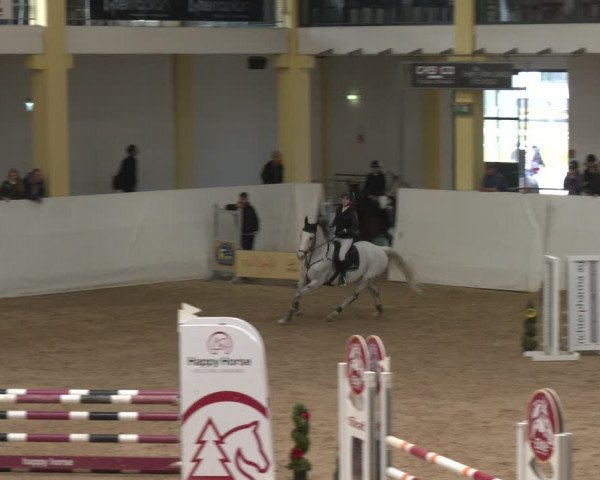 Reitturnier Stadl-Paura 2024