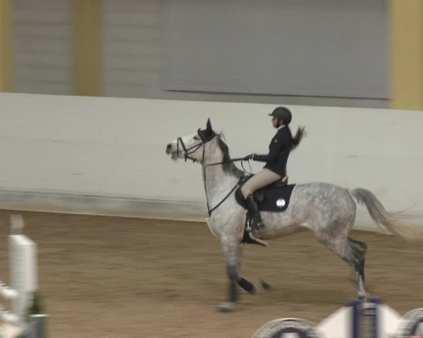 Reitturnier Stadl-Paura 2024