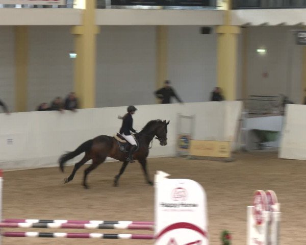Reitturnier Stadl-Paura 2024