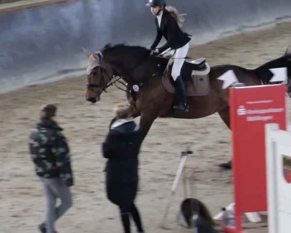 Reitturnier Weil der Stadt 2024