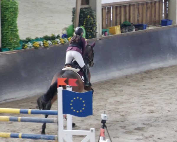 Reitturnier Weil der Stadt 2024