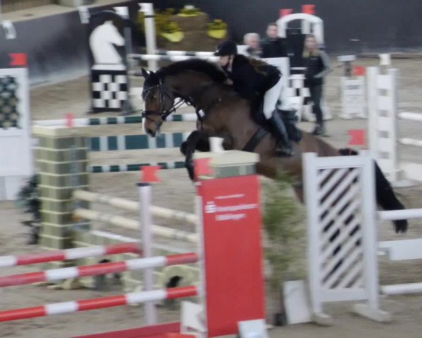 Reitturnier Weil der Stadt 2024