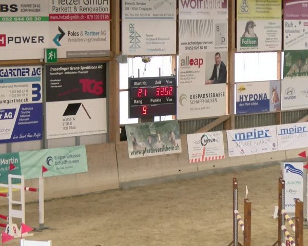 Reitturnier Schaffhausen 2024