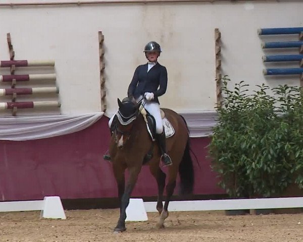 Reitturnier Eicherloh RH Laurent/Obb. 2024