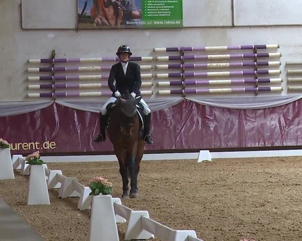Reitturnier Eicherloh RH Laurent/Obb. 2024