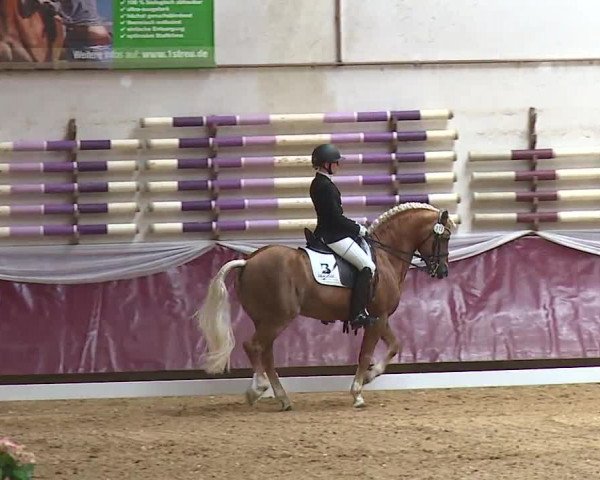 Reitturnier Eicherloh RH Laurent/Obb. 2024