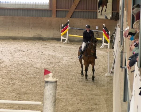 Reitturnier Schaffhausen 2024