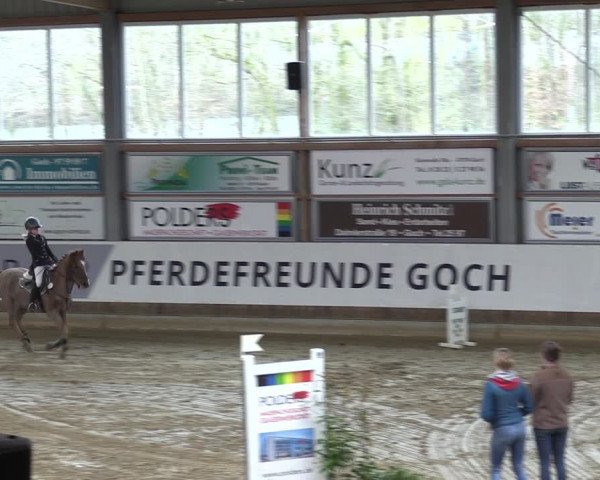 Reitturnier Goch 2024