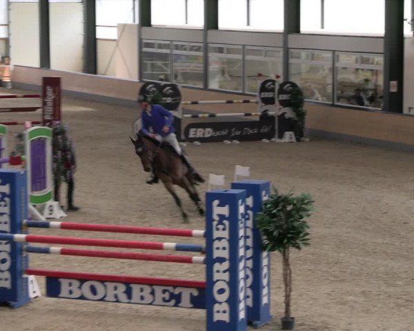 Reitturnier Borken 2024