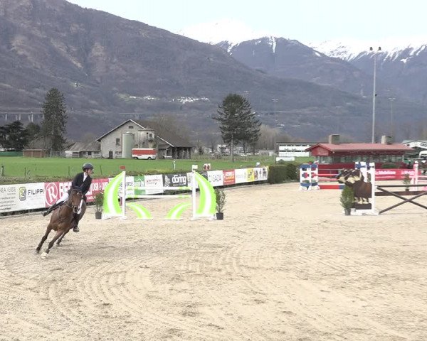 Reitturnier Giubiasco 2024