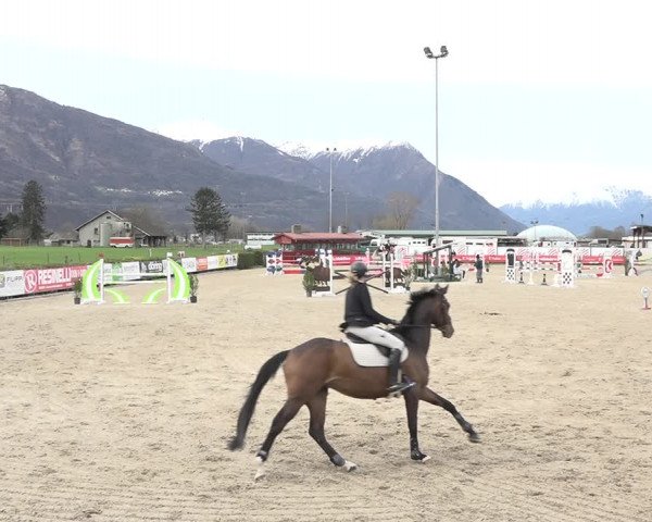 Reitturnier Giubiasco 2024