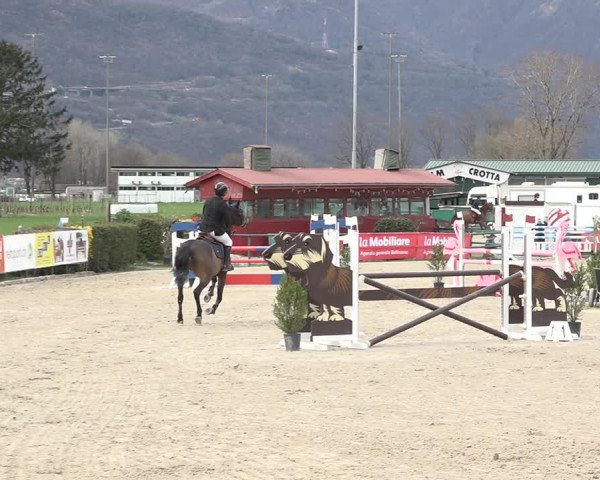 Reitturnier Giubiasco 2024