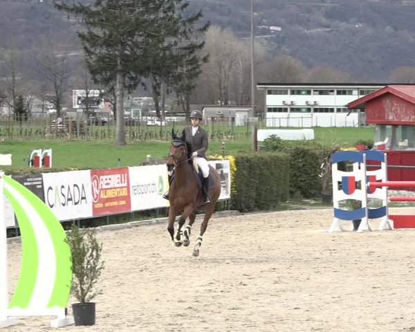 Reitturnier Giubiasco 2024