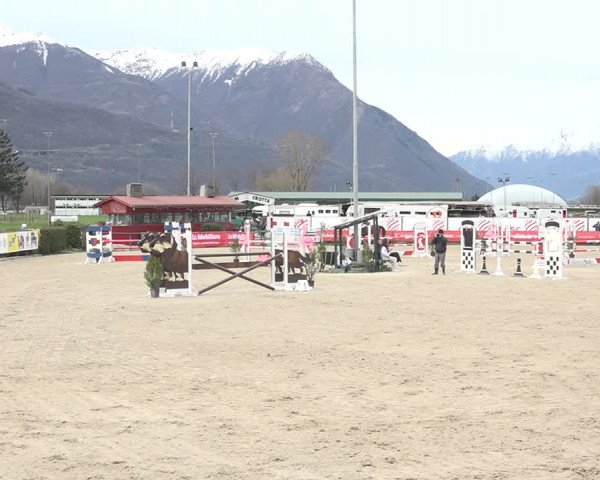 Reitturnier Giubiasco 2024