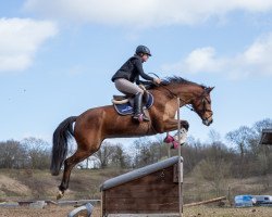 jumper Saphir 457 (unknown, 2015)