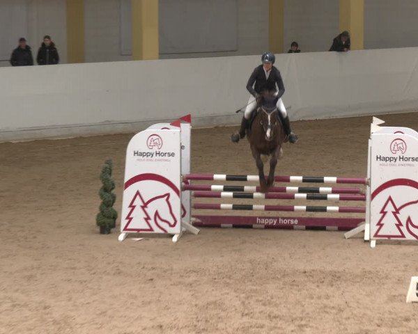 Reitturnier Stadl-Paura 2024