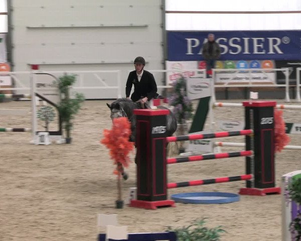 Reitturnier Borken 2024