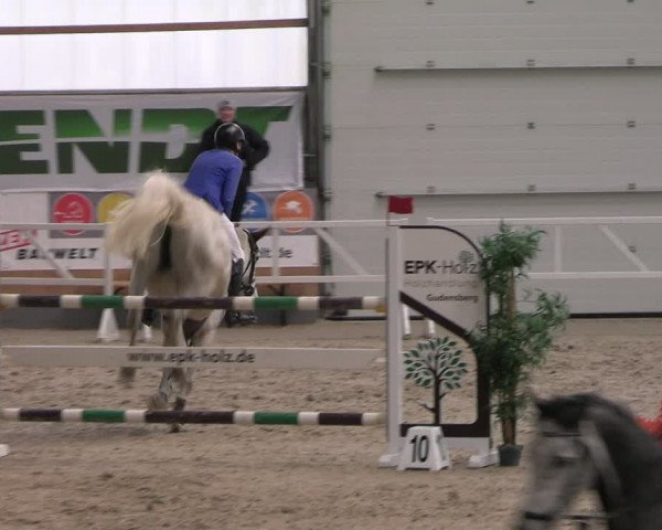 Reitturnier Borken 2024