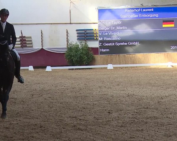 Reitturnier Eicherloh RH Laurent/Obb. 2024