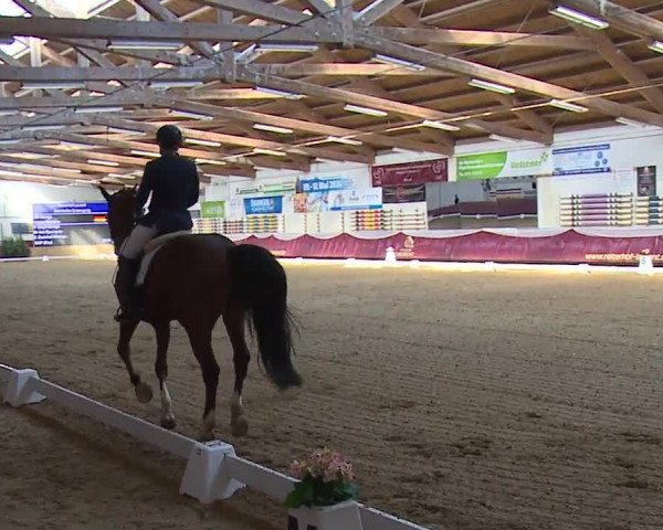 Reitturnier Eicherloh RH Laurent/Obb. 2024