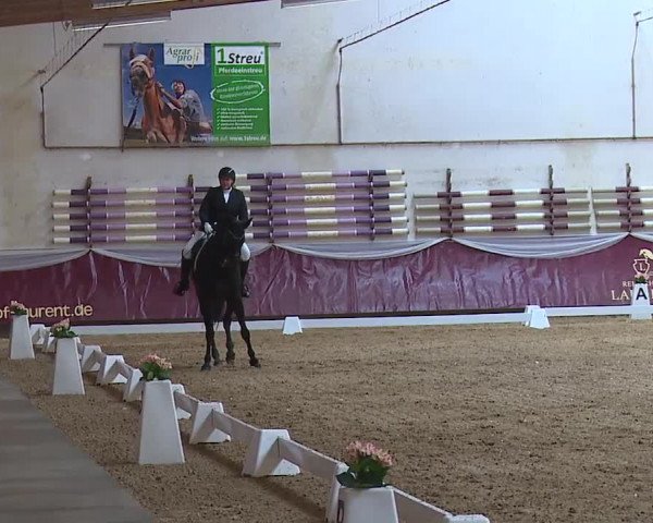 Reitturnier Eicherloh RH Laurent/Obb. 2024