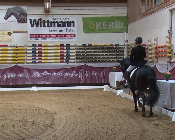 Reitturnier Eicherloh RH Laurent/Obb. 2024