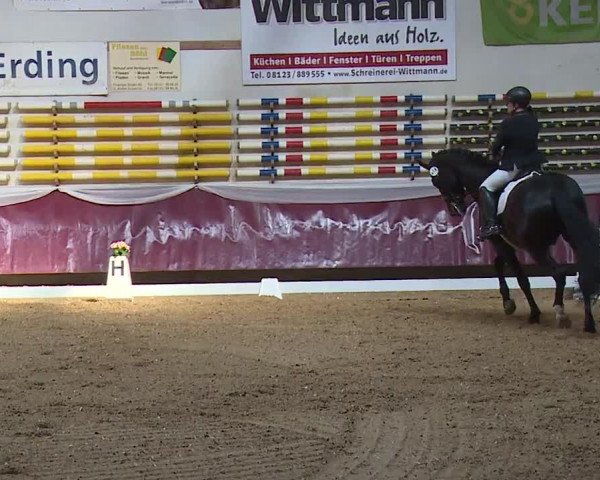 Reitturnier Eicherloh RH Laurent/Obb. 2024