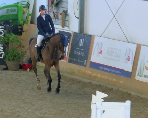 Reitturnier Borgholzhausen-Westbarthausen 2024