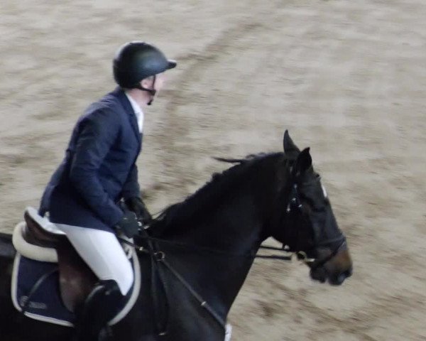 Reitturnier Weil der Stadt 2024