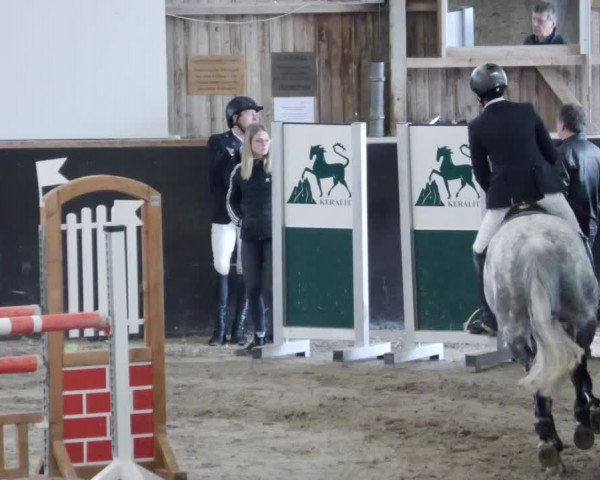 Reitturnier Weil der Stadt 2024