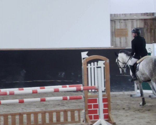 Reitturnier Weil der Stadt 2024